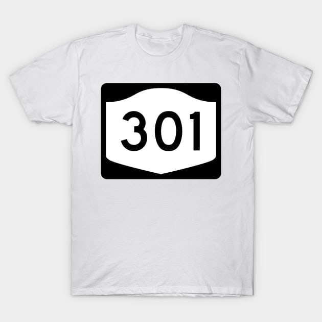 Rte 301 Putnam County New York T-Shirt by SunkenMineRailroad